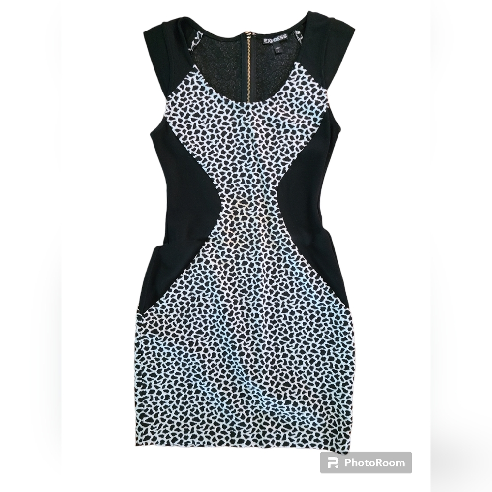Express Dress